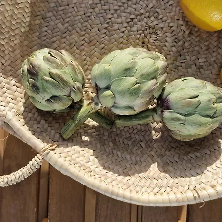 Lägenhet Osaya Tindaya