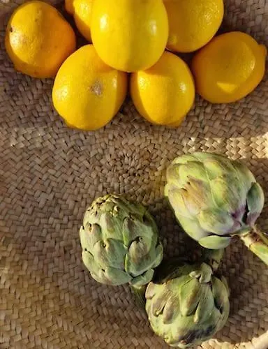 Osaya טינדאיה